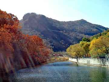 新澳天天开奖资料大全旅游团，最热门的小说